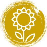 Ayçiçeği Tohumları