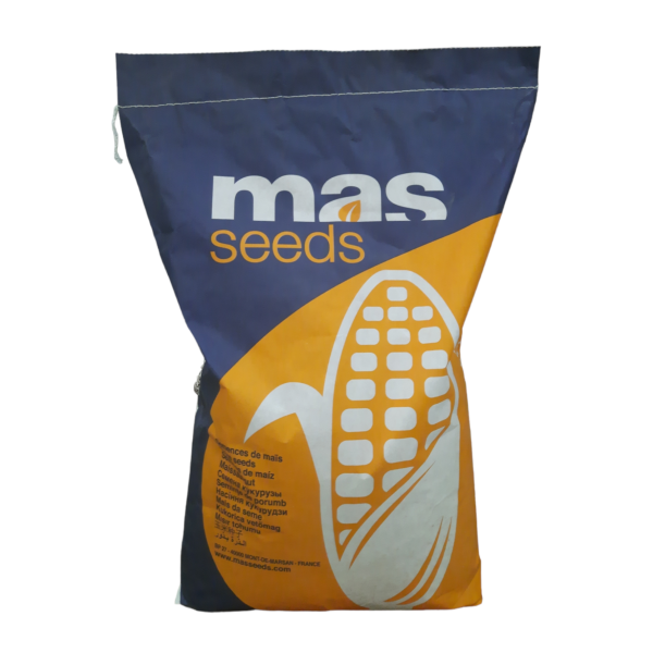 Mas Seeds Mas 56.a Danelik Mısır Tohumu
