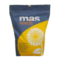 Mas Seeds Mas 87.ır Ayçiçek Tohumu