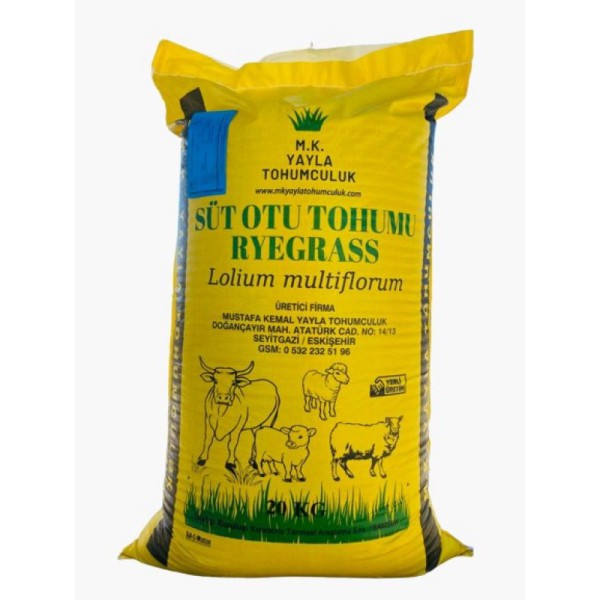 Süt Otu Tohumu 20 KG
