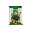 Azade Tohum Dereotu Ferah 10 Gr