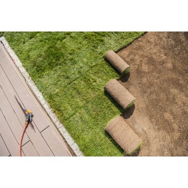 Rulo Çim M2 Fiyatı...