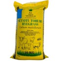 Süt Otu Tohumu 10 KG