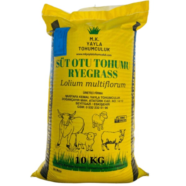 Süt Otu Tohumu 10 KG